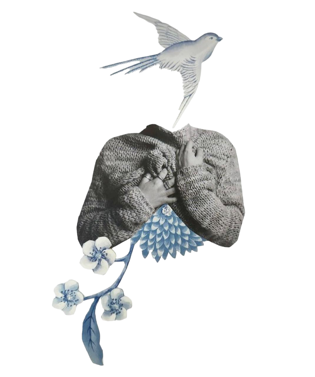 Bird-